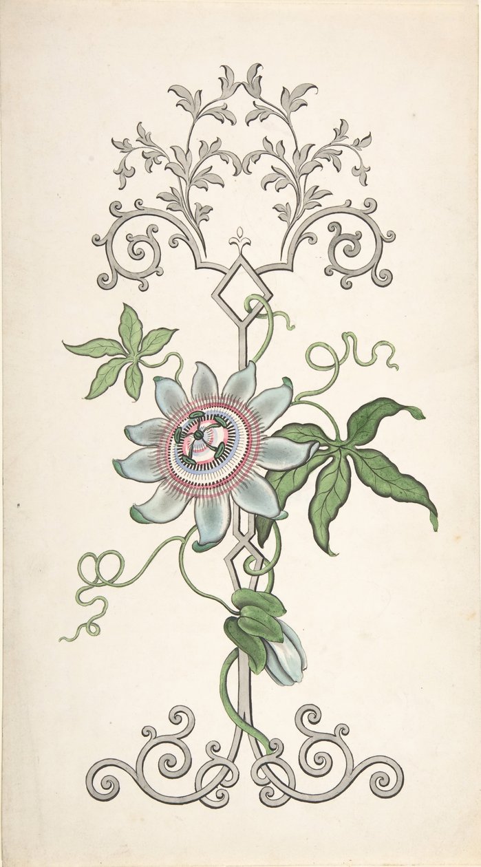 Design för paneldekoration centrerad på en passionsblomma, 1828-40. av J Hulme