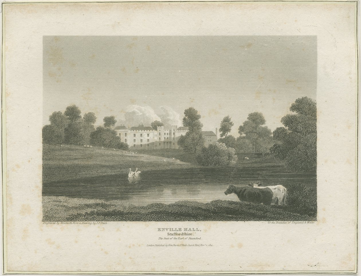 Enville Hall: gravyr, nd [c 1814] (tryck) av John Preston Neale