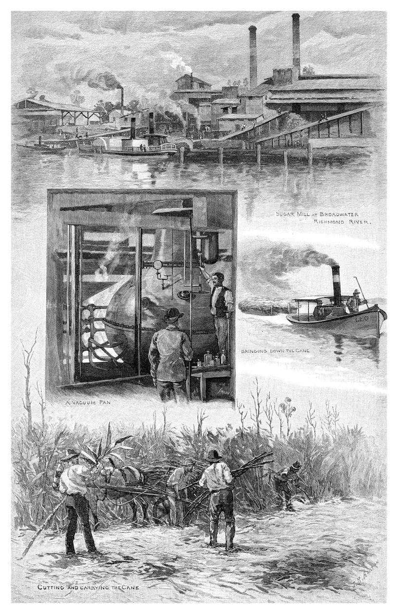 Sockerindustrin, Richmond River, New South Wales, Australien, 1886. av J. R. Ashton