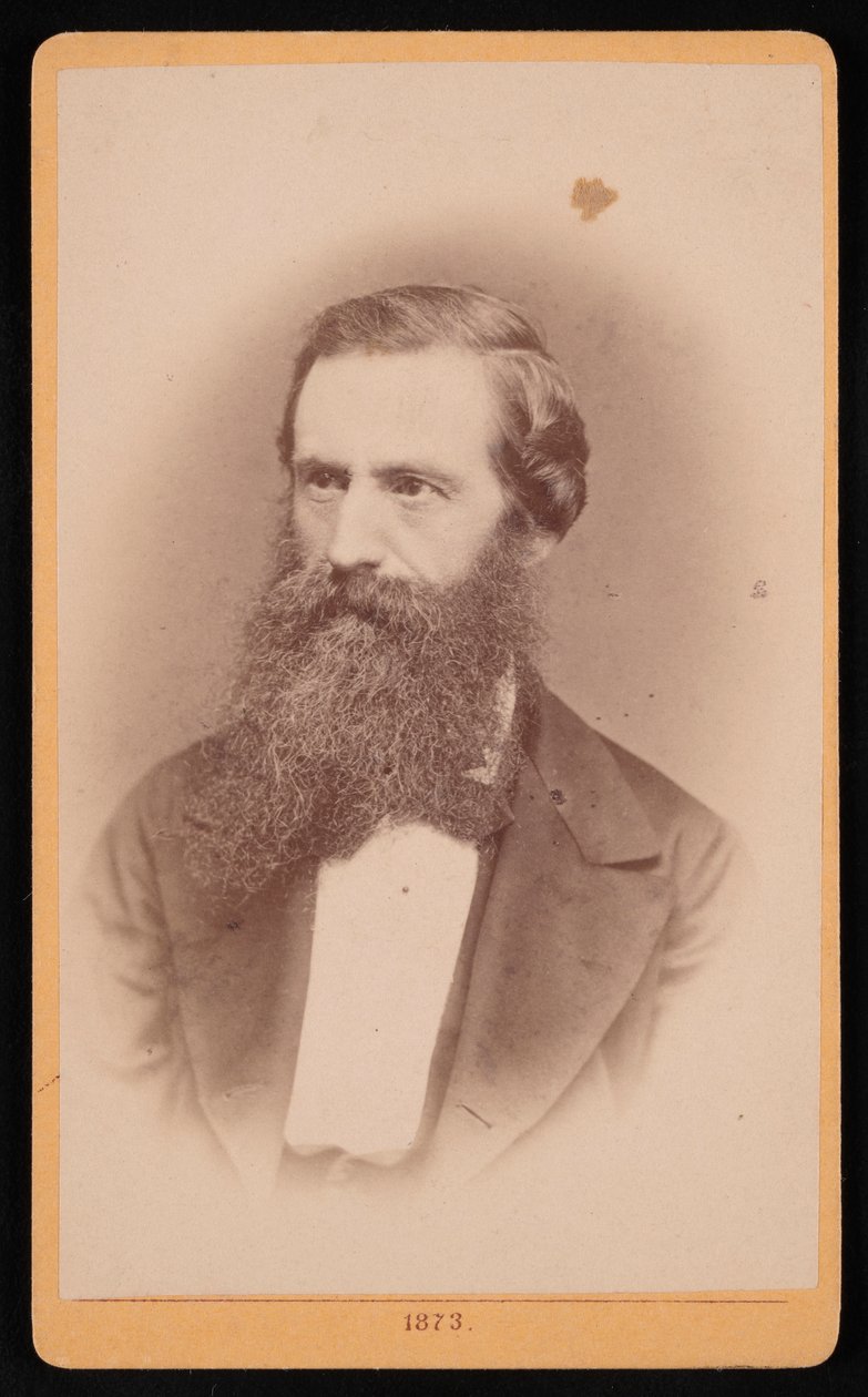 Porträtt av Mordecai Cubitt Cooke 1825-1914, 1873. av J Stegmann