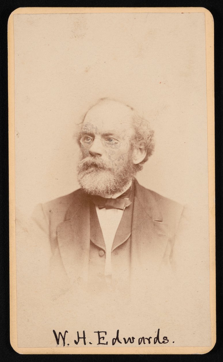 Porträtt av William Henry Edwards 1822-1909, cirka 1870-1880-talet. av J and W Vincent