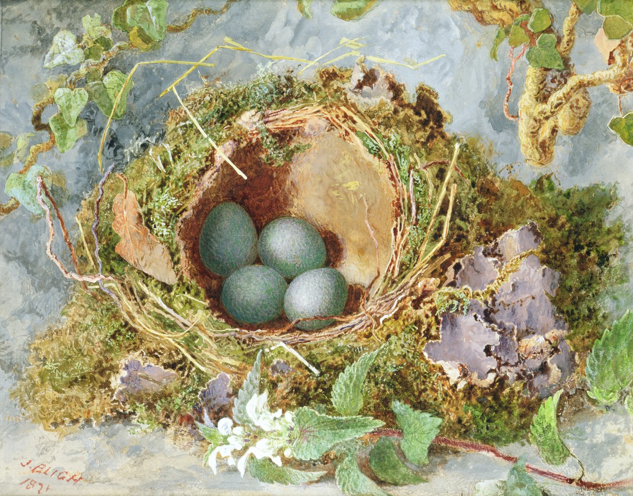 A Nest of Eggs, 1871 (tagai 215284 mo paga)swed av Jabez Bligh