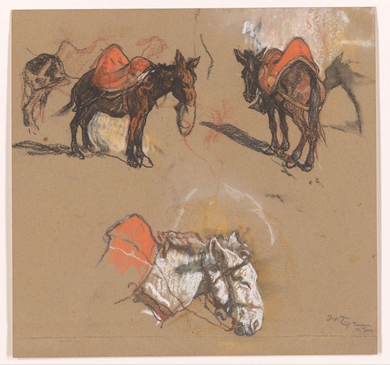 Studier av åsnor och en mula på Grand Place i Tanger av Jac van Looij (signed by artist)