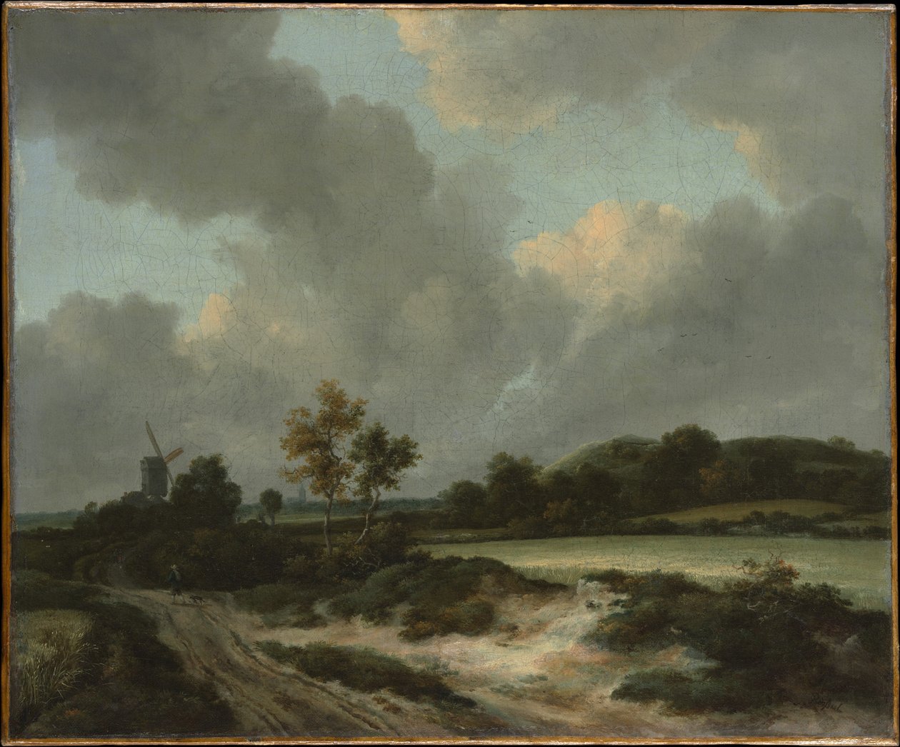 Grainfields av Jacob van Ruisdael