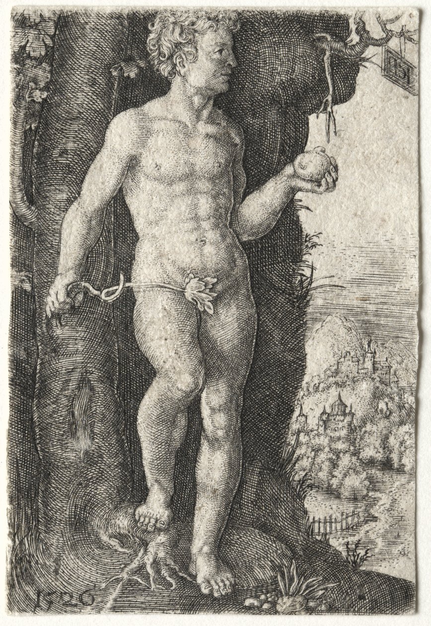 Adam av Jacob Binck