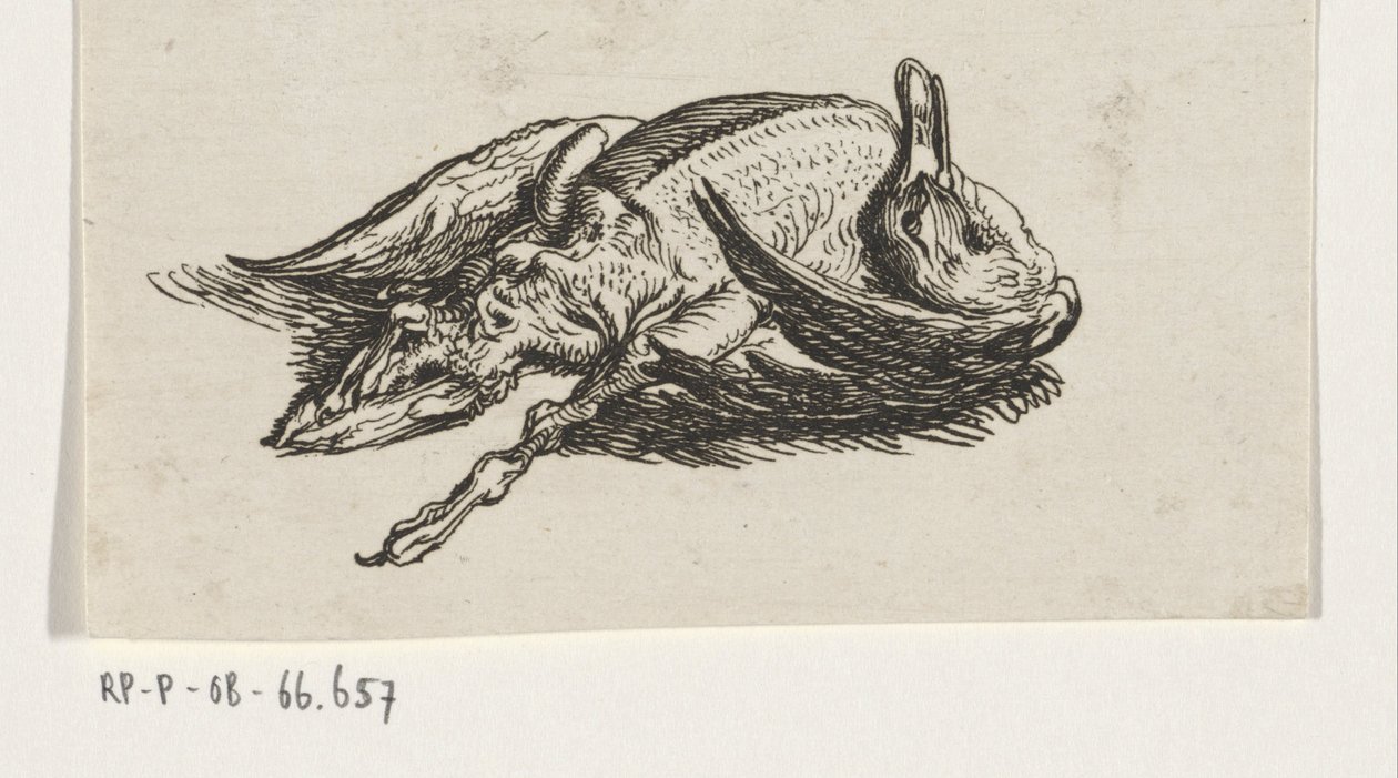 död anka av Jacob Elias van Varelen