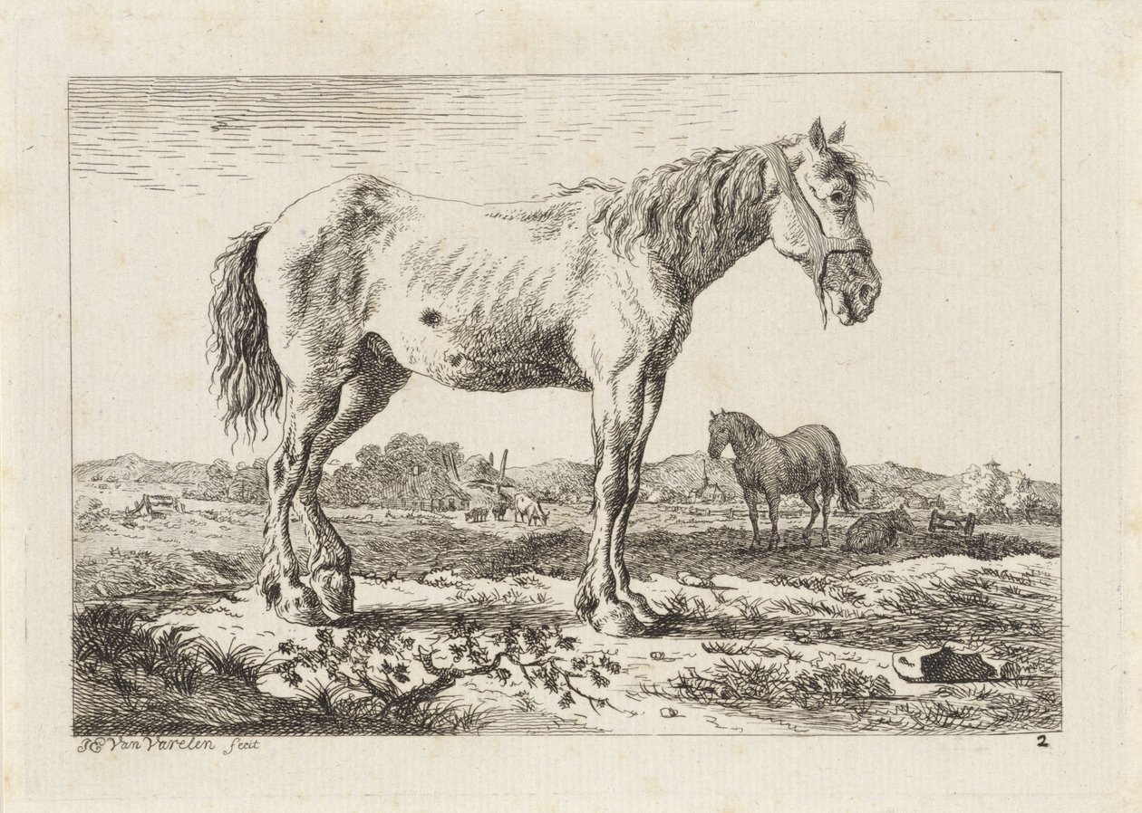 Stående häst i ett landskap Sex tryck efter ritningar av olika mästare (serietitel) av Jacob Elias van Varelen