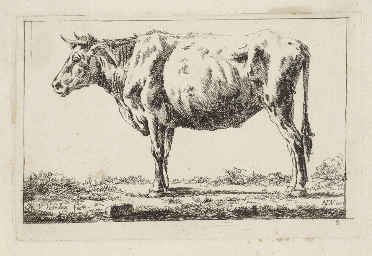 Stående ko, till vänster av Jacob Elias van Varelen