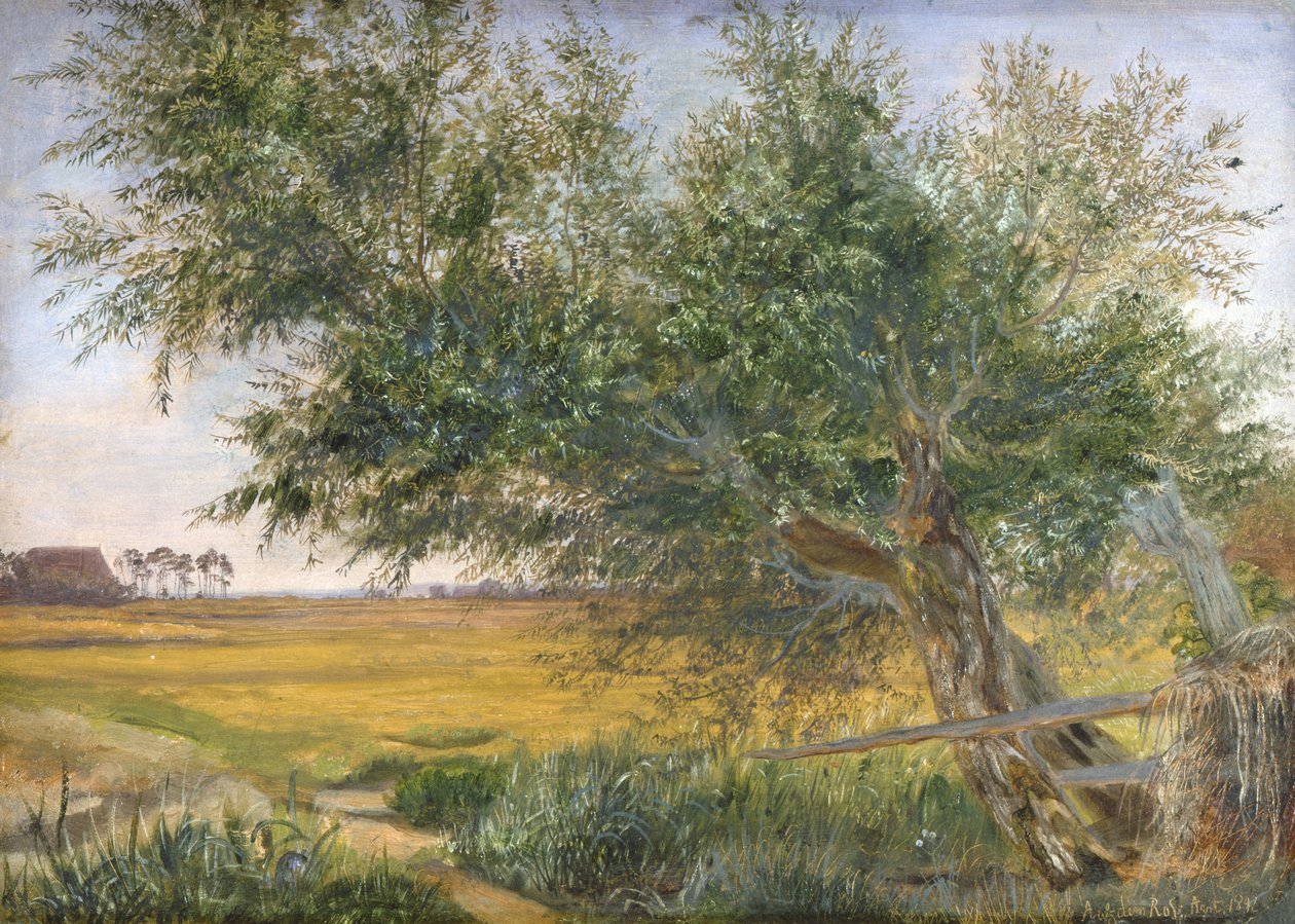 Det gamla trädet, 1842 (olja på papper monterad på kort) av Jacob Gensler