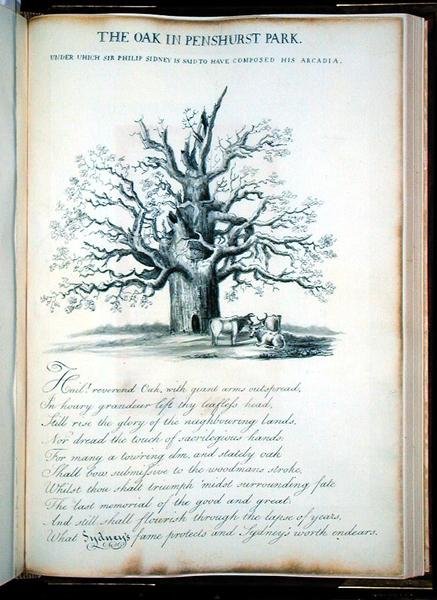 Eken i Penshurst Park av Jacob George Strutt