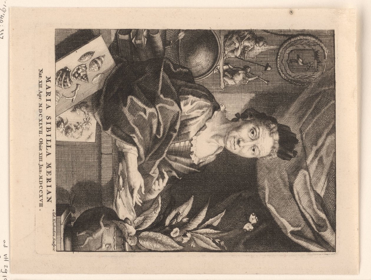Porträtt av Maria Sibylla Merian Maria Sibylla Merian (titel på objekt) av Jacob Houbraken
