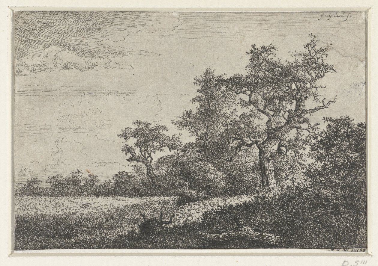 Majsfältet av Jacob van Ruisdael
