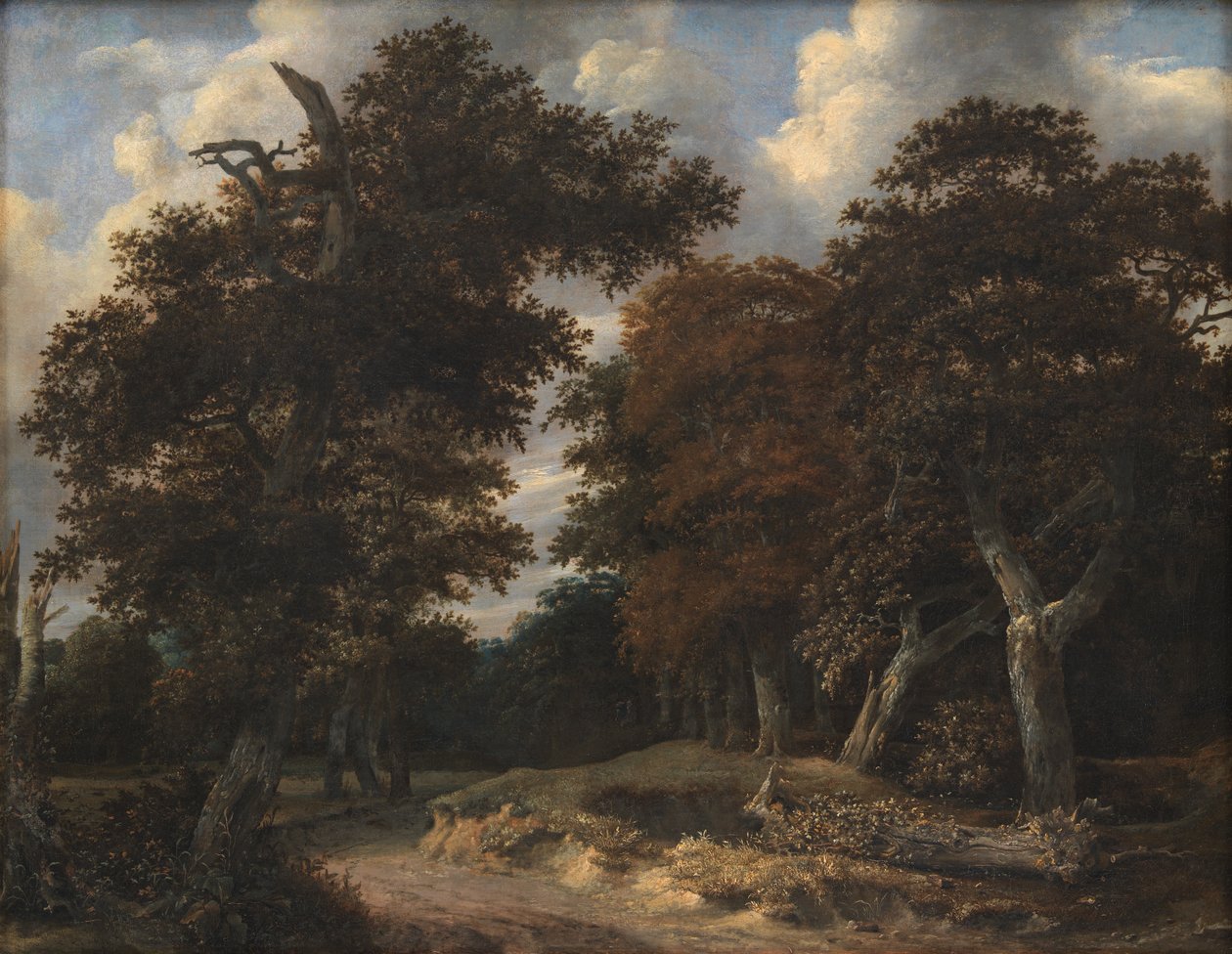 Väg genom en ekskog av Jacob van Ruisdael