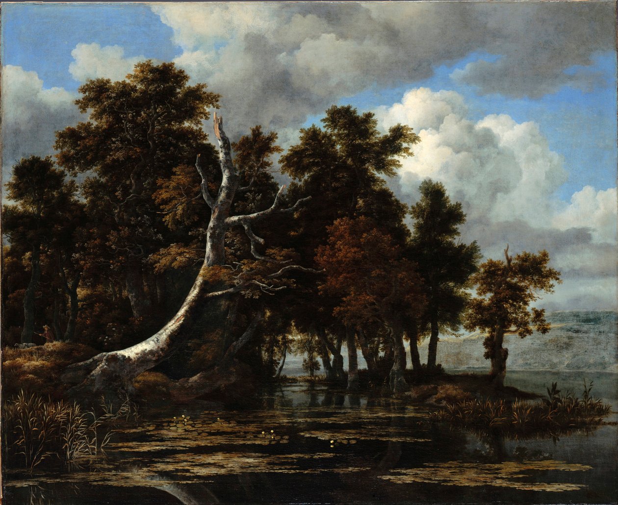 ""Ekar vid en sjö med näckrosor" Målning av Jacob Isaacksz van Ruisdael (1628/29-1682) Olja på duk Dim 116,6x142 cm Staatliche Museen, Berlin av Jacob van Ruisdael