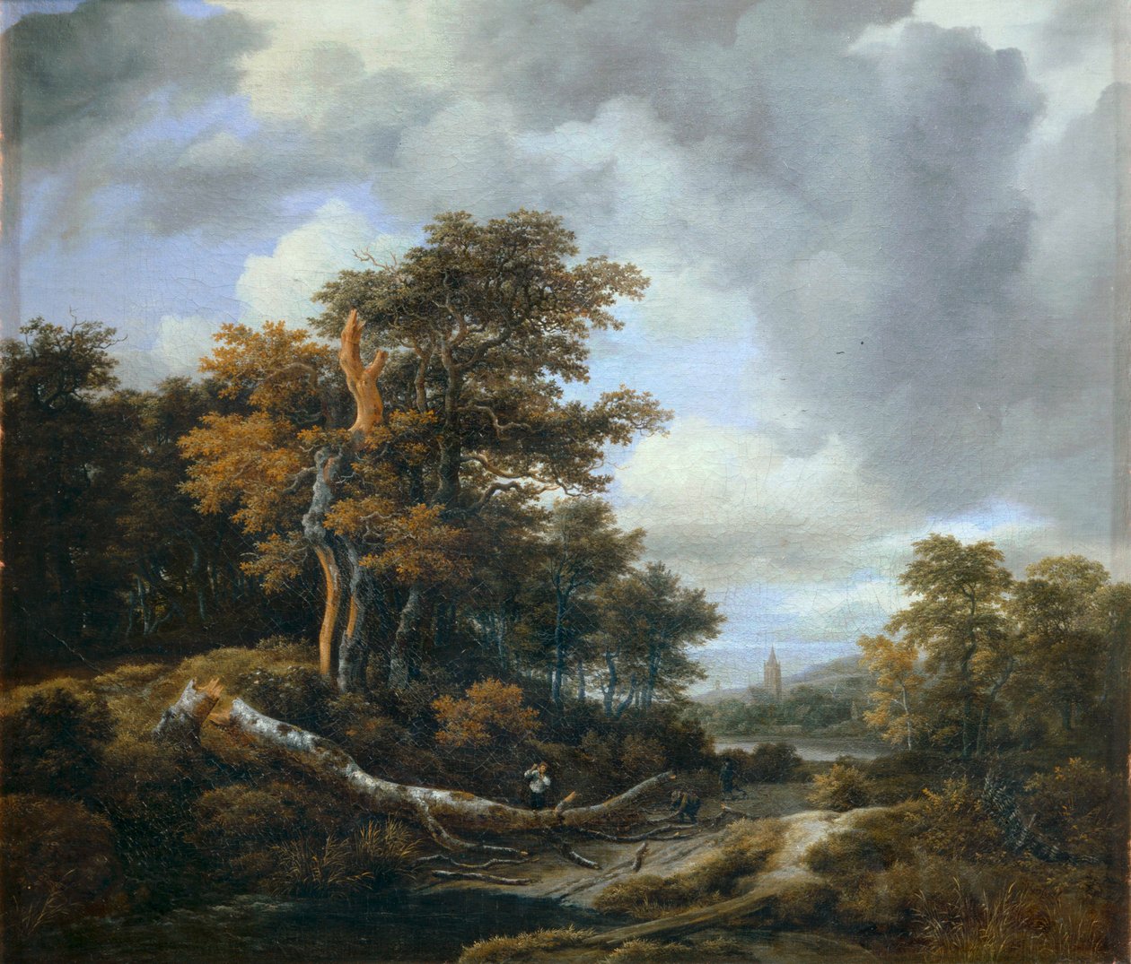 Ingång till en trä ... av Jacob Isaaksz. or Isaacksz. van Ruisdael