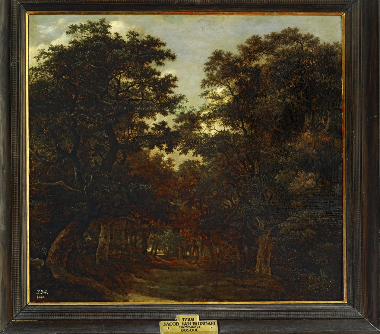 Skog ... av Jacob Isaaksz. or Isaacksz. van Ruisdael
