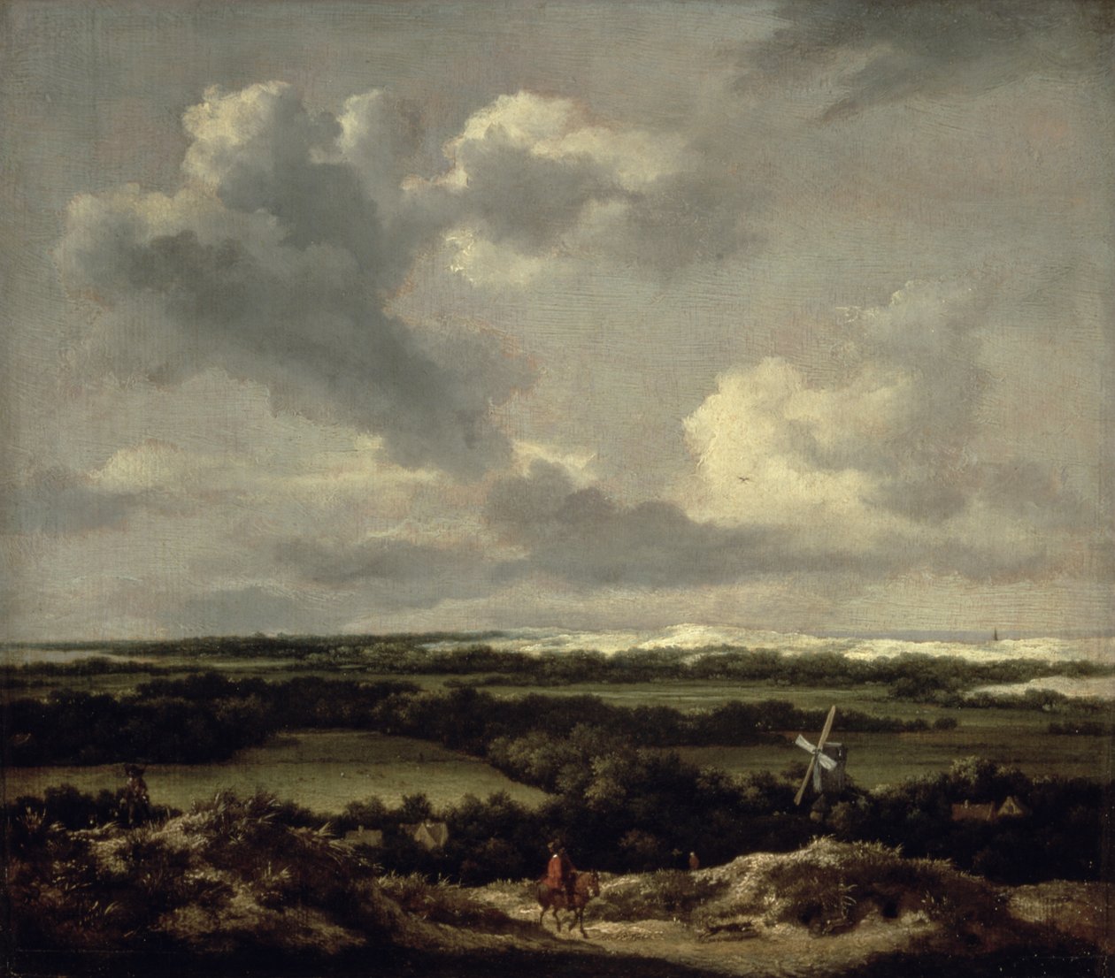Landskap med sanddyner nära Haarlem (olja på duk) av Jacob van Ruisdael