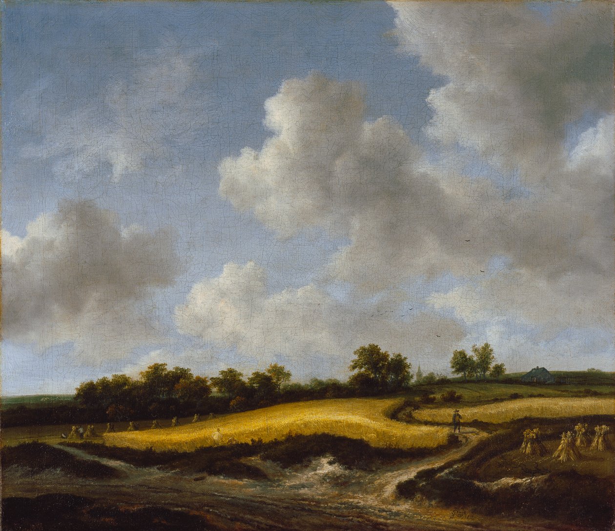 Landskap med ett vetefält, ca 1660 av Jacob van Ruisdael