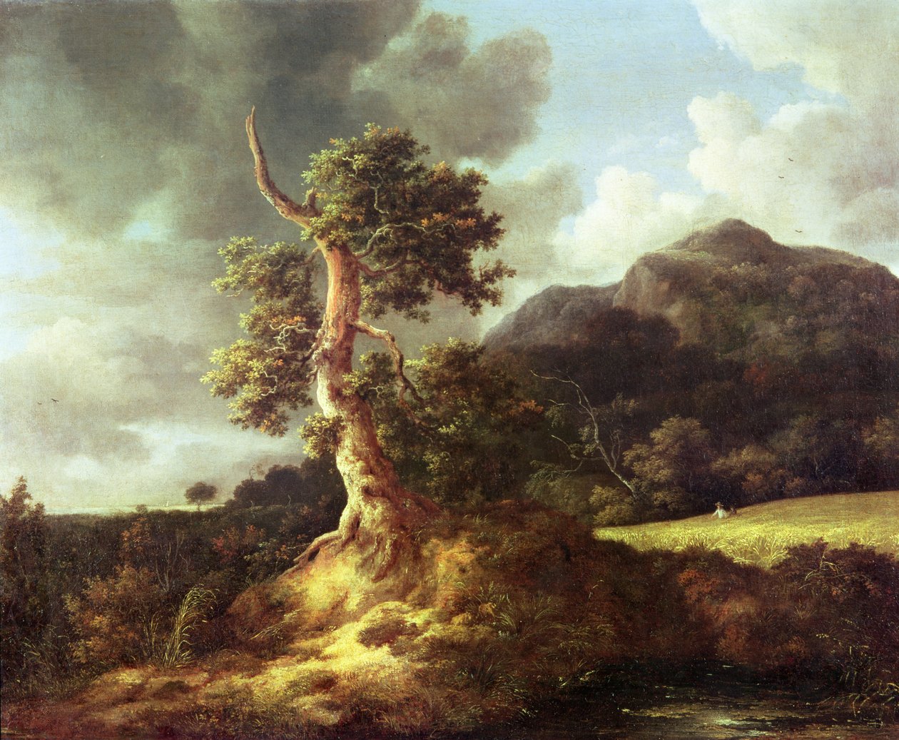 Okänd bild av Jacob van Ruisdael