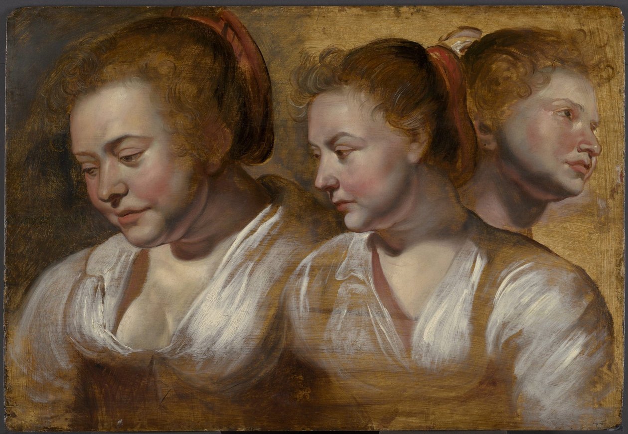 Tre studier av en ung kvinna av Jacob Jordaens