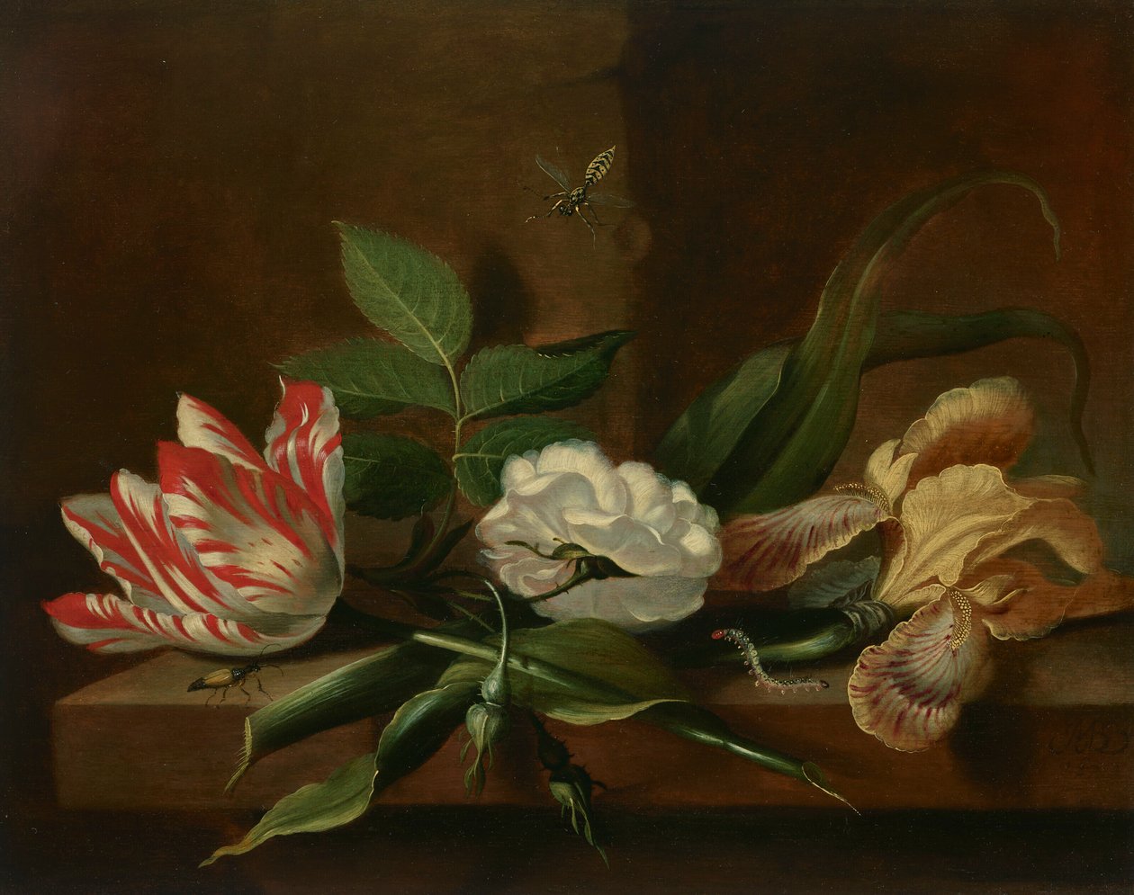 En papegojtulpan, en ros, en iris och insekter på ett träbord av Jacob Marrel