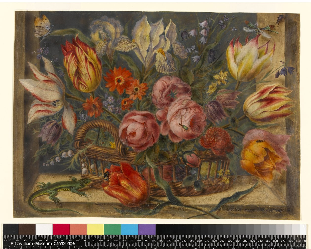 Blomsterstudie: diverse blommor i en korg, med insekter och en ödla i fönstermiljö, 1634 av Jacob Marrel