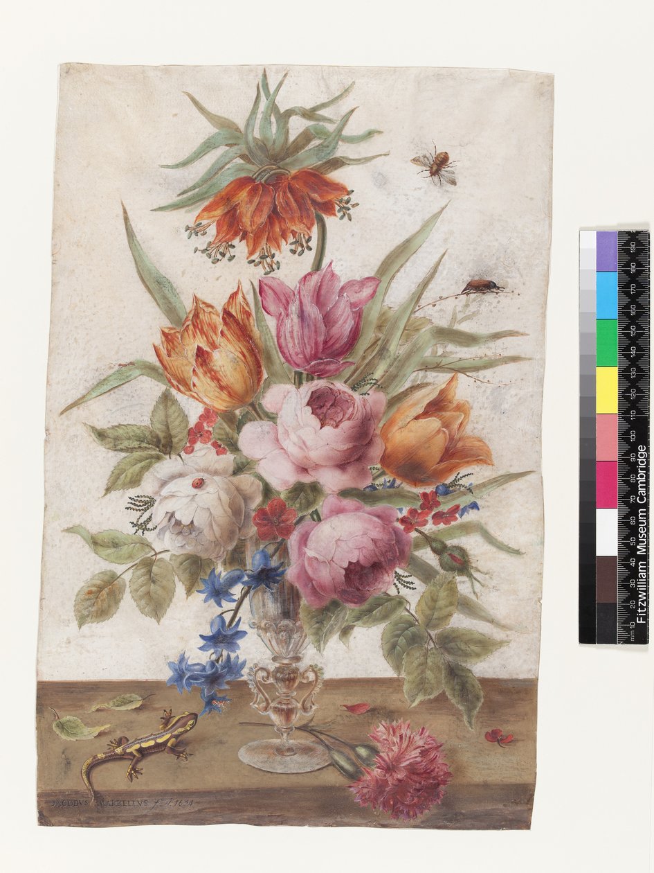 Venetiansk glasbägare innehållande blommor med en ödla och insekter, 1634 (gouache på veläng) av Jacob Marrel