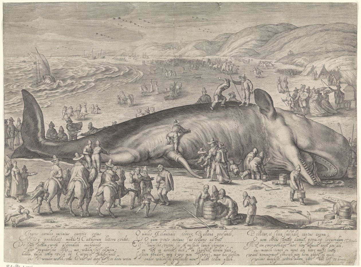 Val strandade vid Berckhey, 1598 av Jacob Matham
