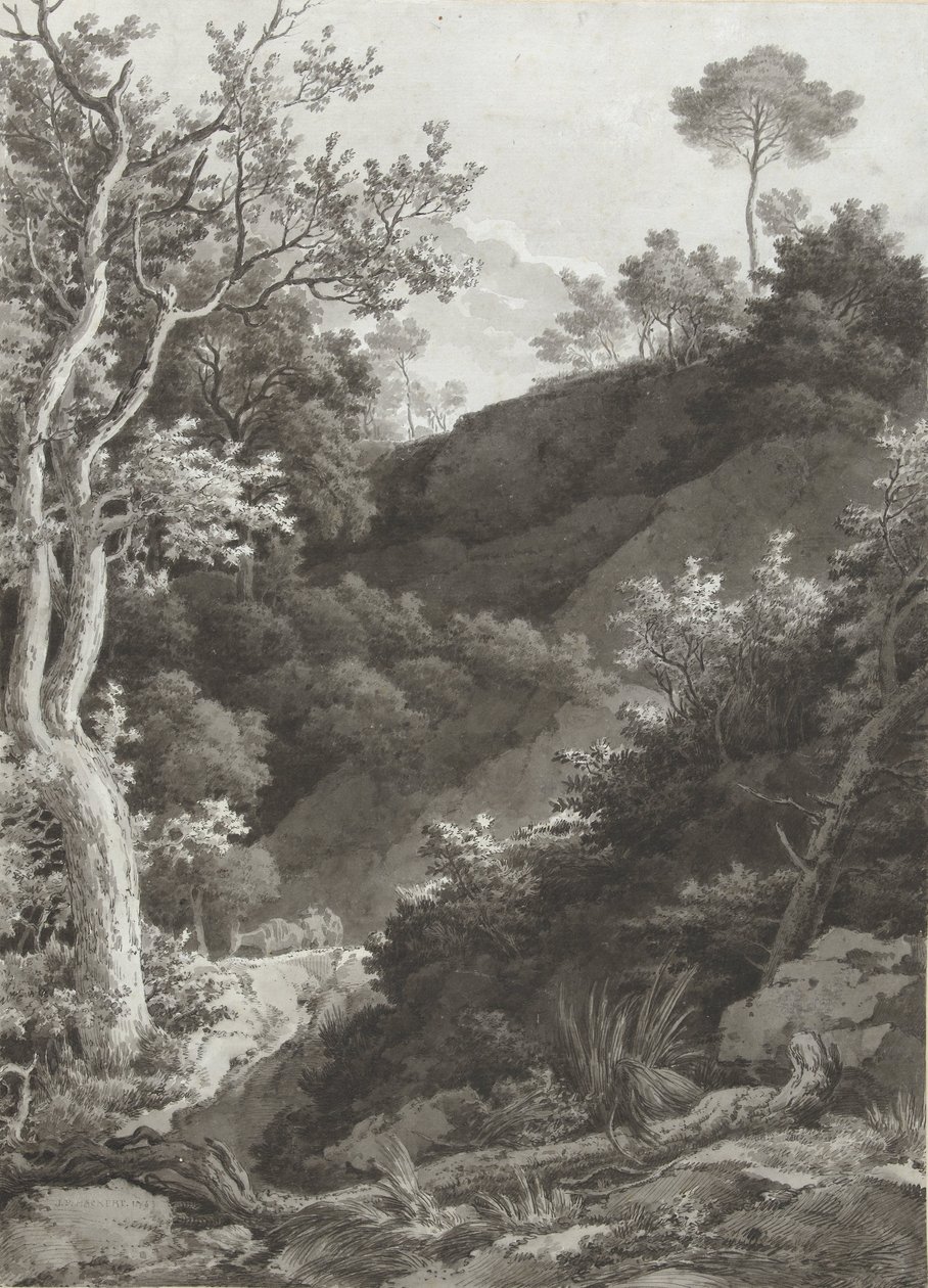 Skogbevuxen bergssida av Jacob Philipp Hackert