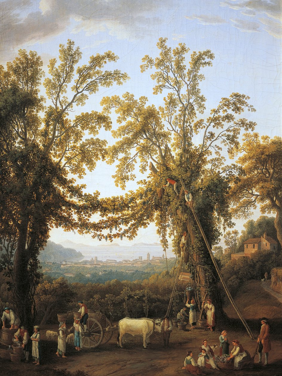 Höst, skörd nära Sorrento (olja på duk) av Jacob Philippe Hackert