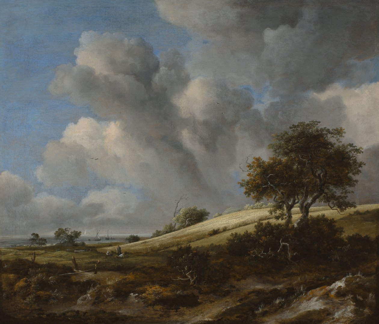 Ett majsfält med Zuiderzee i bakgrunden, ca. 1660 av Jacob van Ruisdael