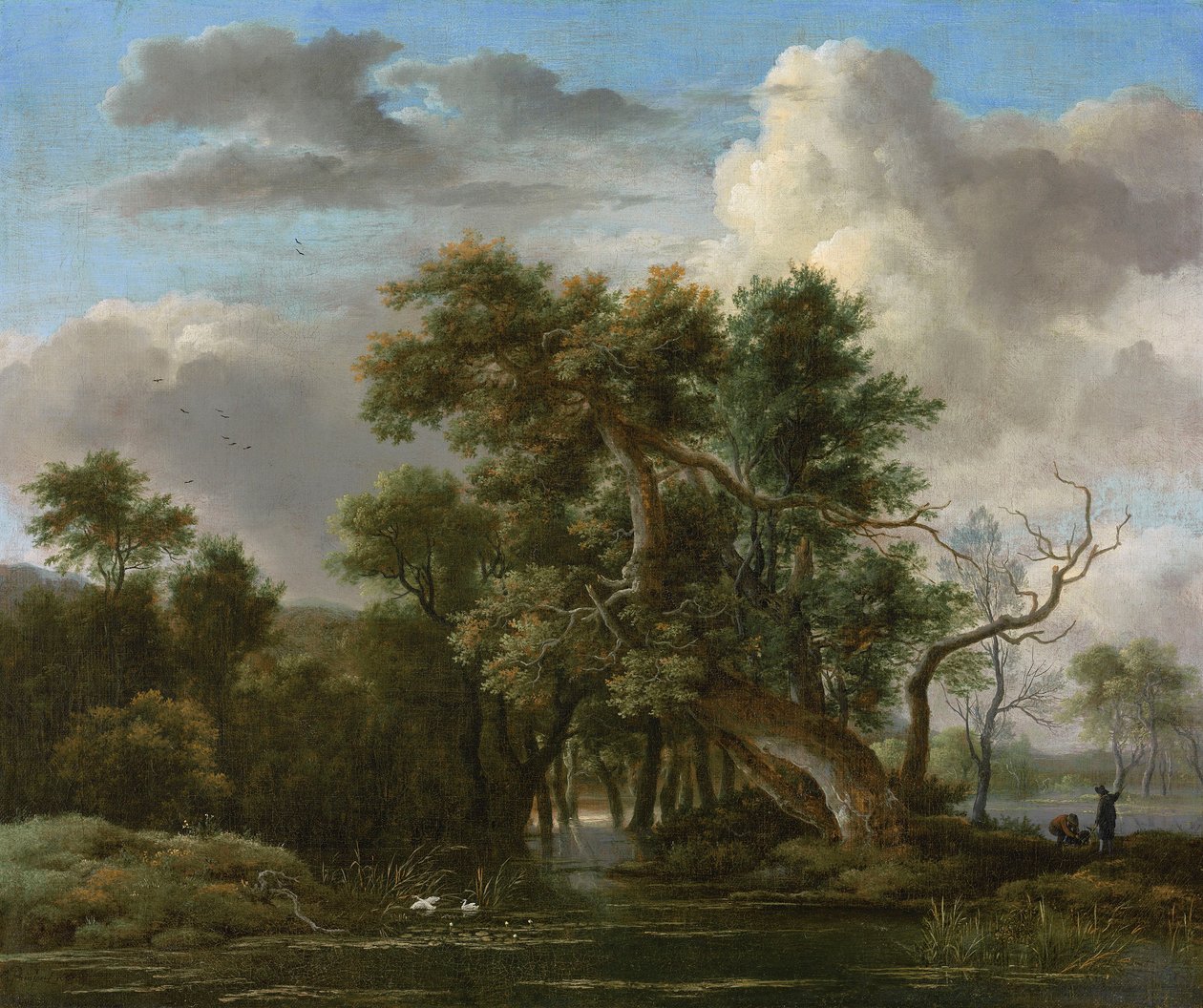 En skogspool av Jacob van Ruisdael