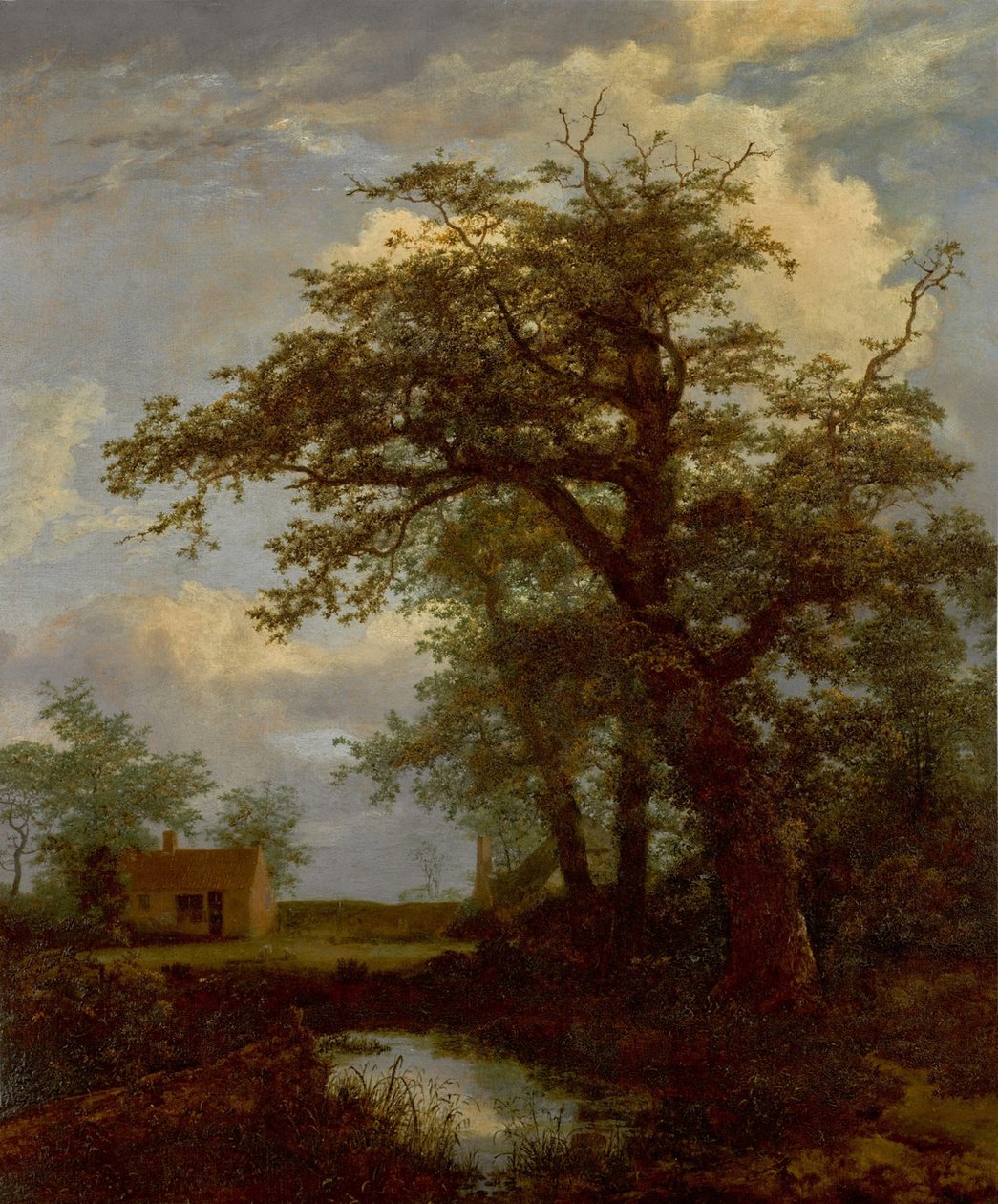 Ett skogslandskap med en ek, en damm och hus på andra sidan av Jacob van Ruisdael