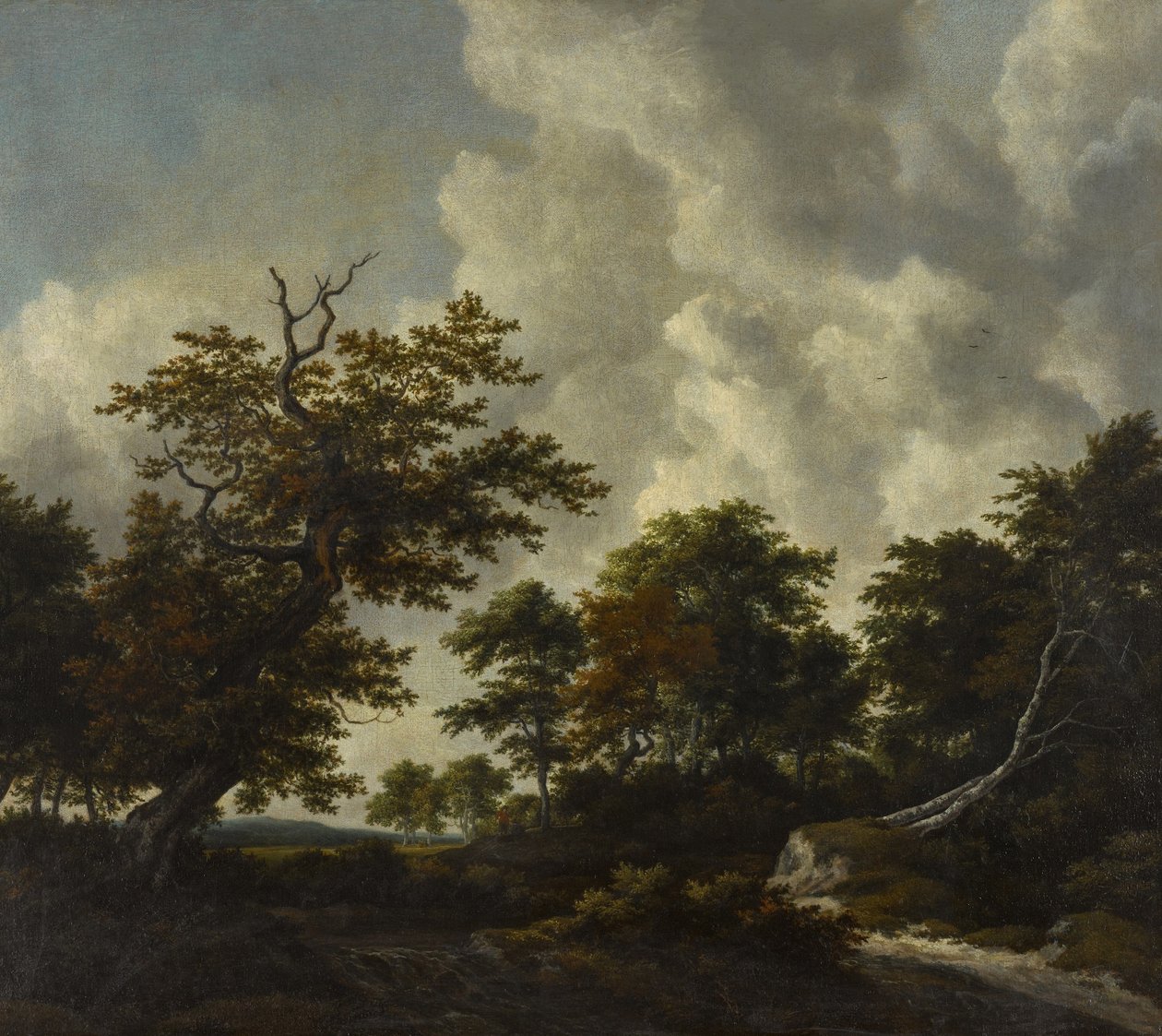 Boskélandskap med en stor ek och två fallna bokar vid ett vattenfall av Jacob van Ruisdael