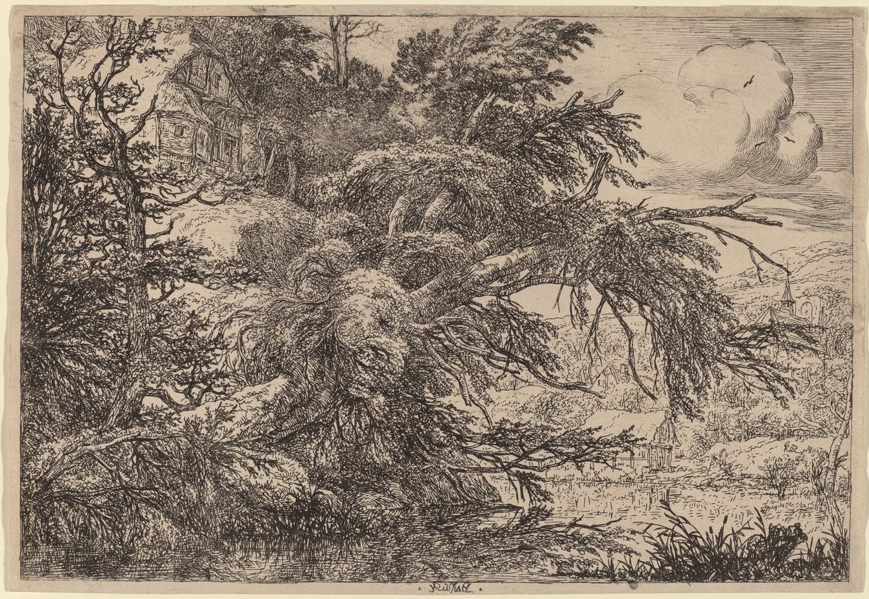 Stuga på en kulle av Jacob van Ruisdael