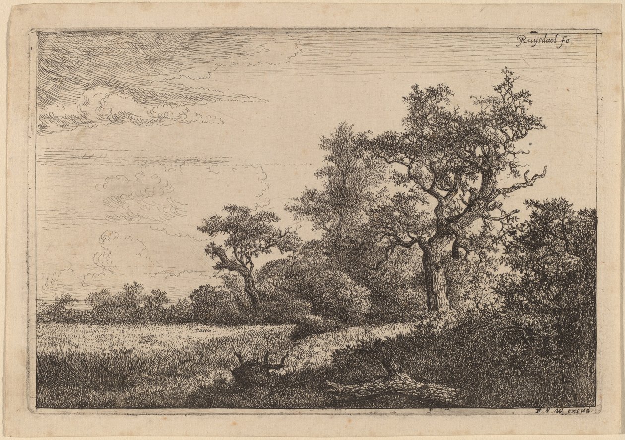 Spannmålsfält vid kanten av ett trä (Majsfält) av Jacob van Ruisdael