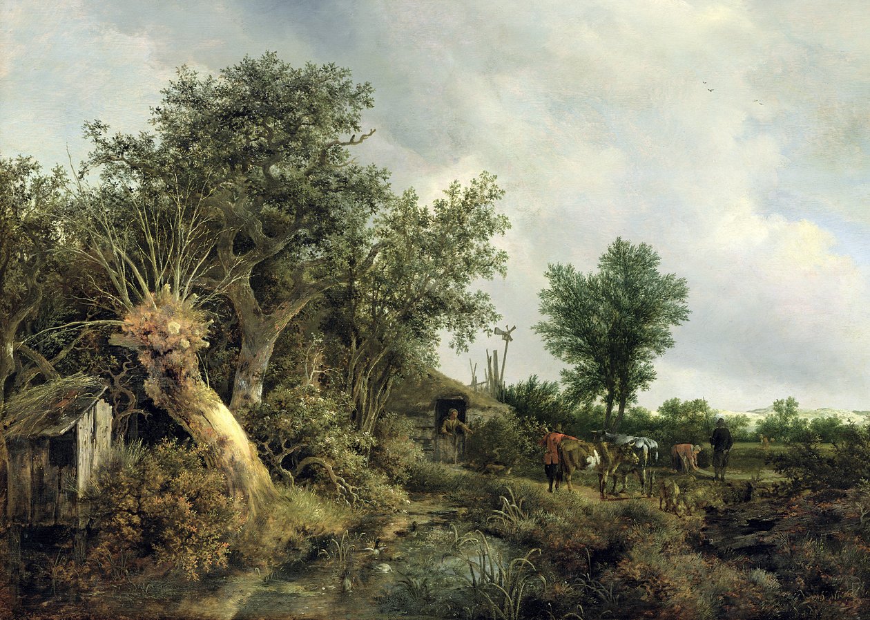 Landskap med koja, 1646 av Jacob van Ruisdael