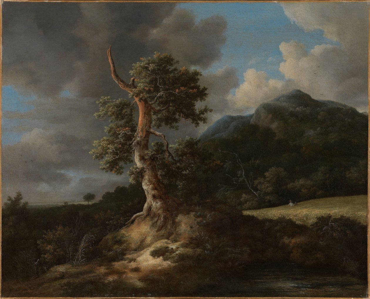 Bergslandskap med en sprängd ek av Jacob van Ruisdael