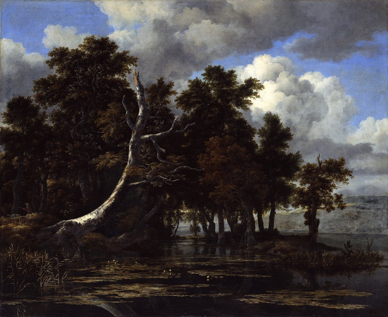 Ekar vid en sjö med näckrosor av Jacob van Ruisdael