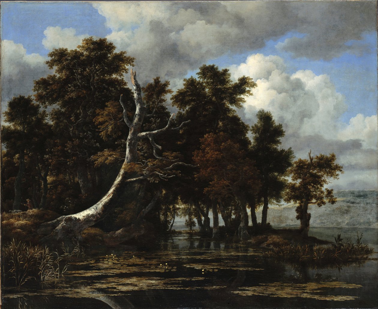 Ekar vid en sjö med näckrosor av Jacob van Ruisdael
