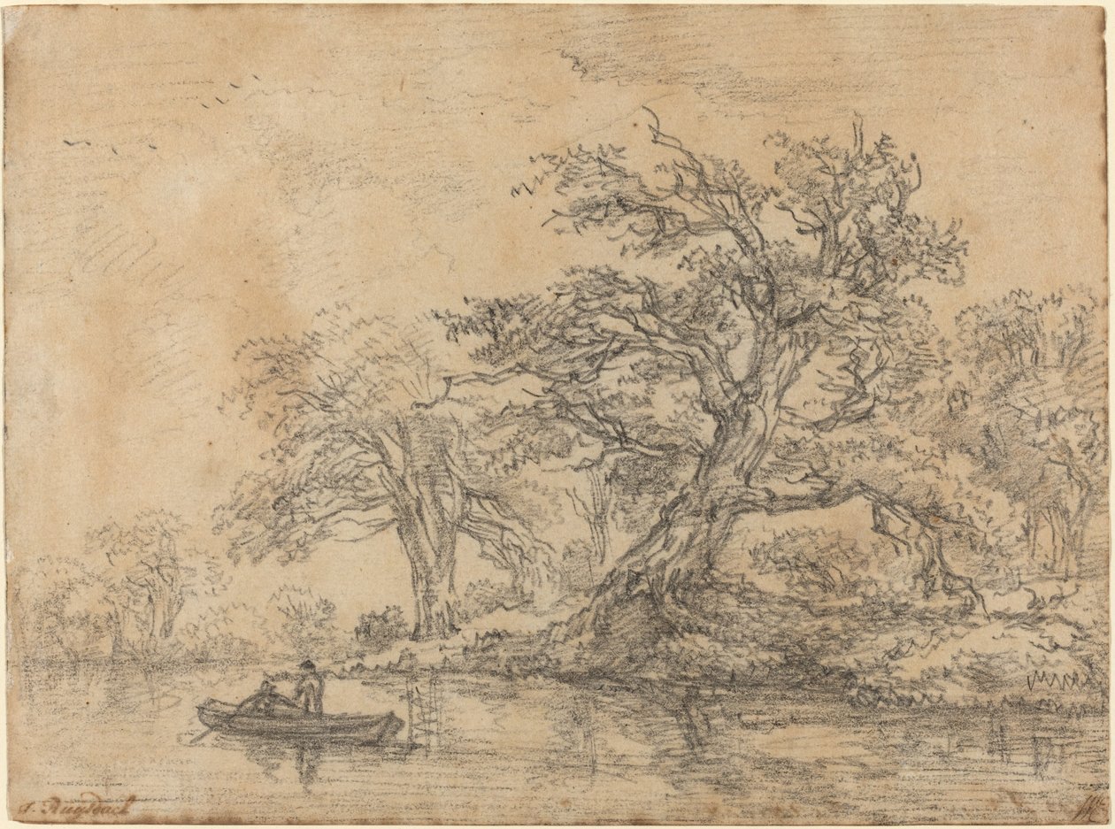 Gamla träd längs en bank av Jacob van Ruisdael