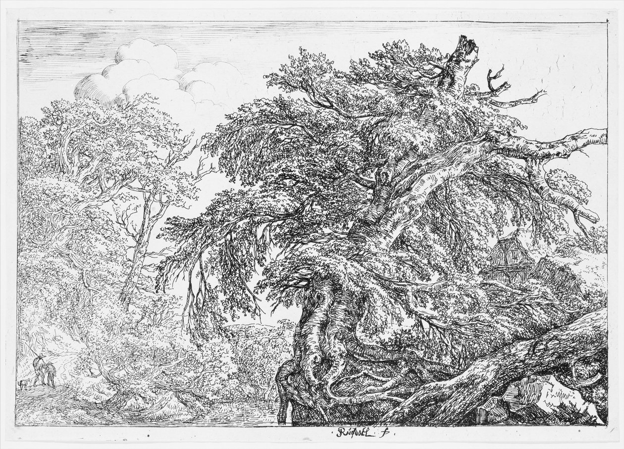 Den stora boken av Jacob van Ruisdael
