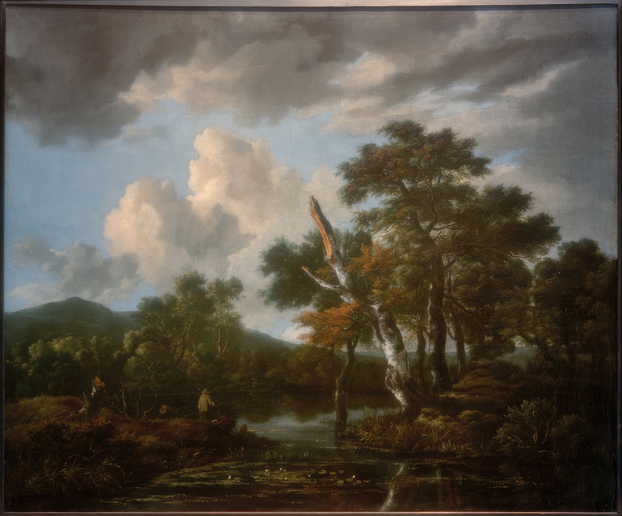 Skogslandskap med en damm av Jacob van Ruisdael