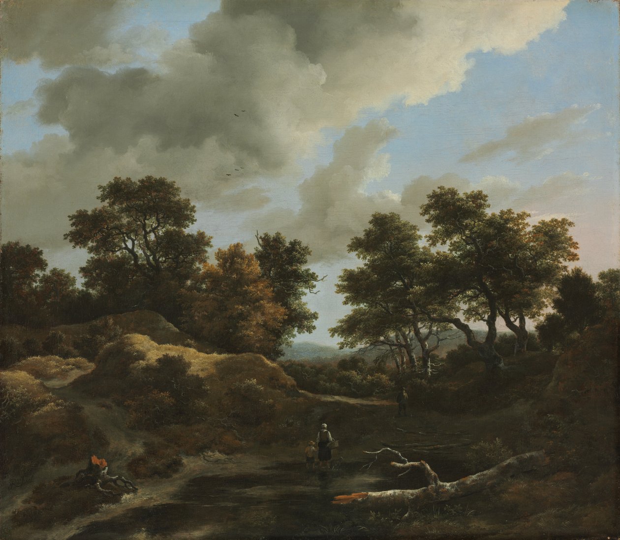 Skogbevuxet och kuperat landskap av Jacob van Ruisdael