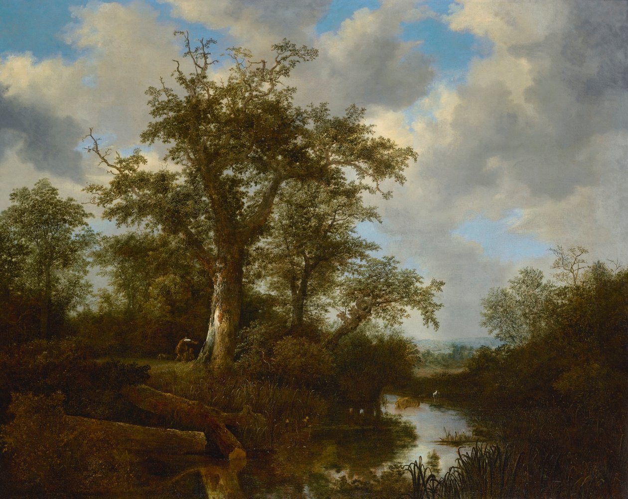 Trädbevuxet landskap med boskap som korsar en bäck av Jacob van Ruisdael
