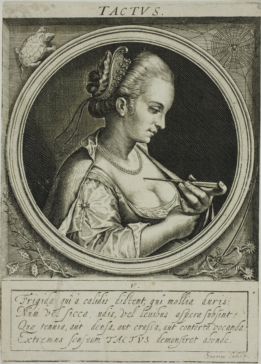 Känsla, platta fem från De fem sinnena av Jacob van der Heyden