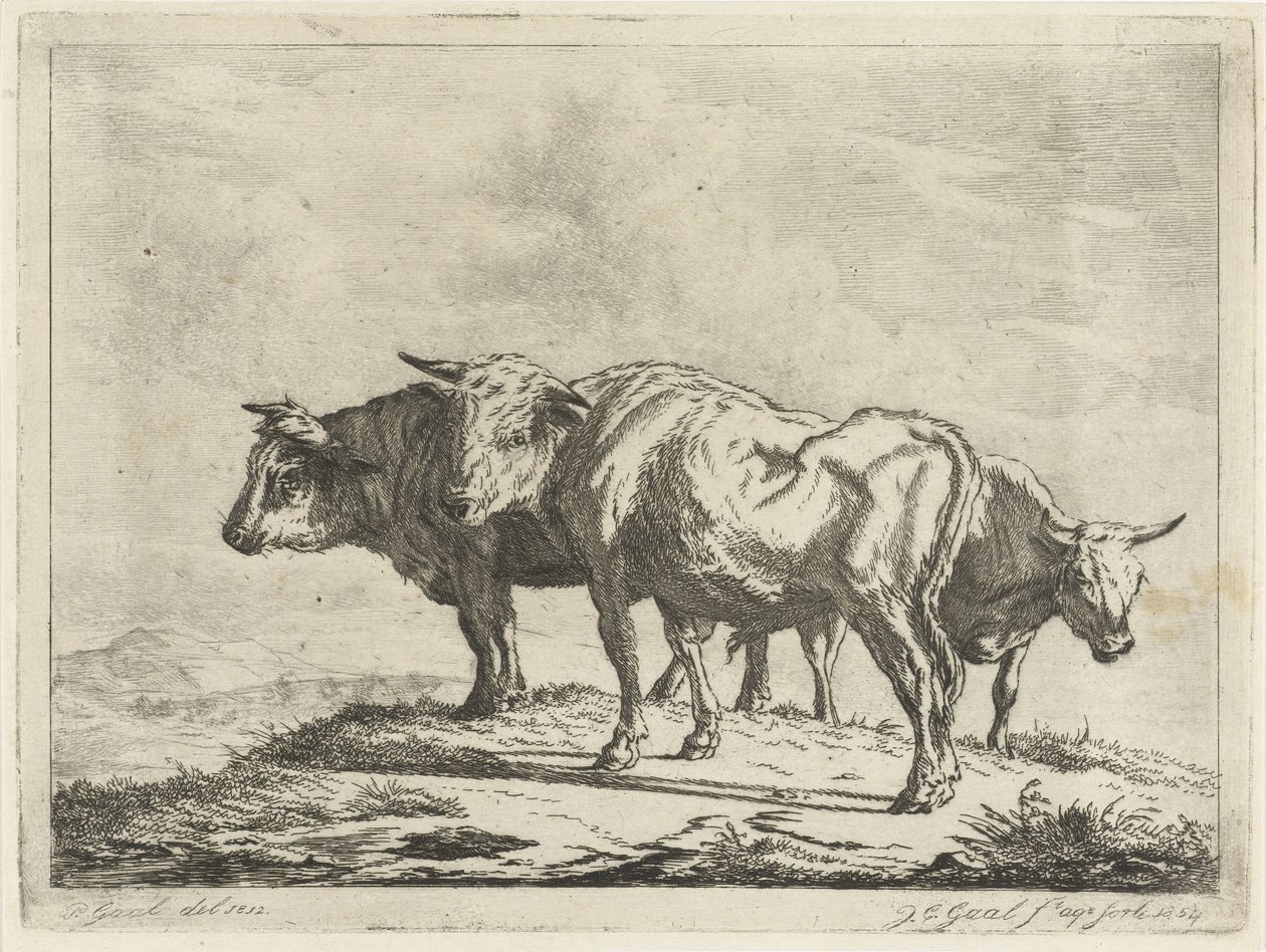 Tre oxar av Jacobus Cornelis Gaal
