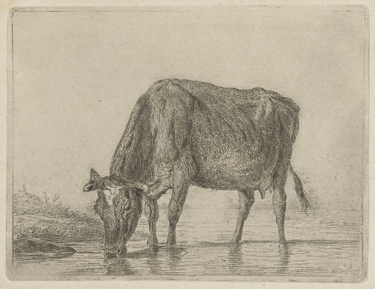 swedish av Jacobus Cornelis Gaal