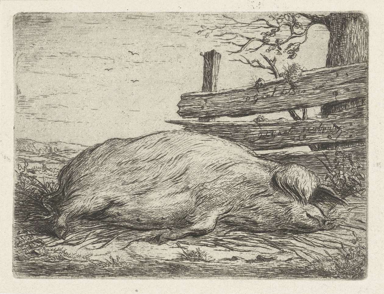 Liggande vildsvin av Jacobus Cornelis Gaal