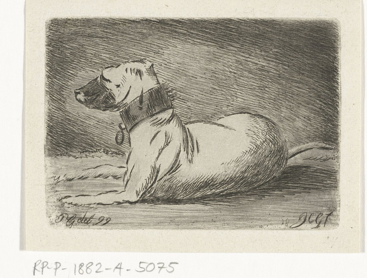Liggande hund med halsband av Jacobus Cornelis Gaal